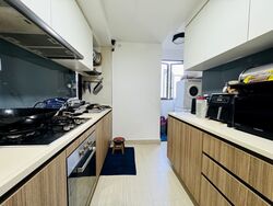 Hundred Palms Residences (D19), Condominium #516162031